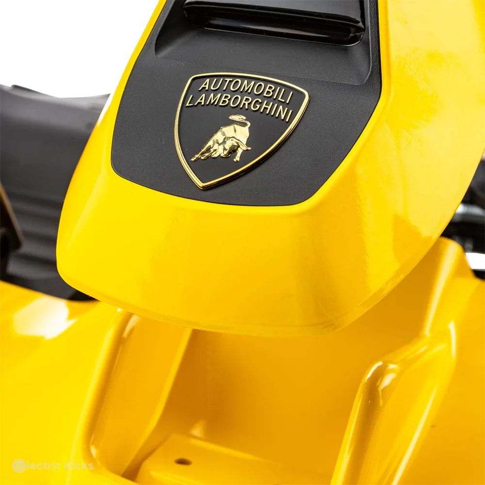 Close-up of a yellowAutomobili Lamborghini car with the brand logo.